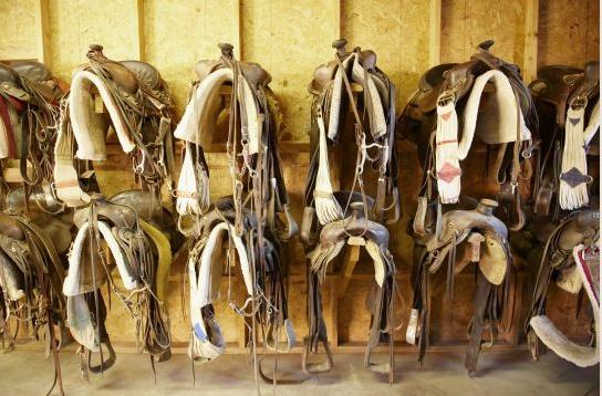 וויקנבורג Rancho De Los Caballeros מראה חיצוני תמונה