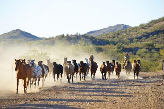 וויקנבורג Rancho De Los Caballeros מראה חיצוני תמונה