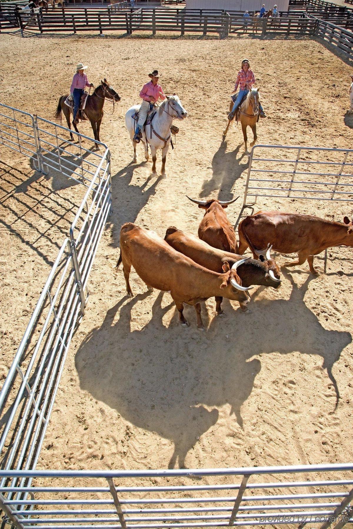 וויקנבורג Rancho De Los Caballeros מראה חיצוני תמונה