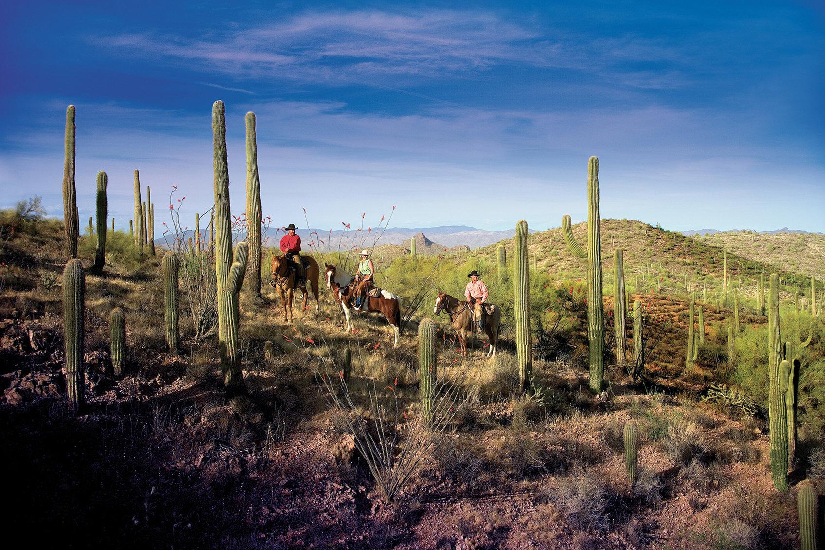 וויקנבורג Rancho De Los Caballeros מראה חיצוני תמונה
